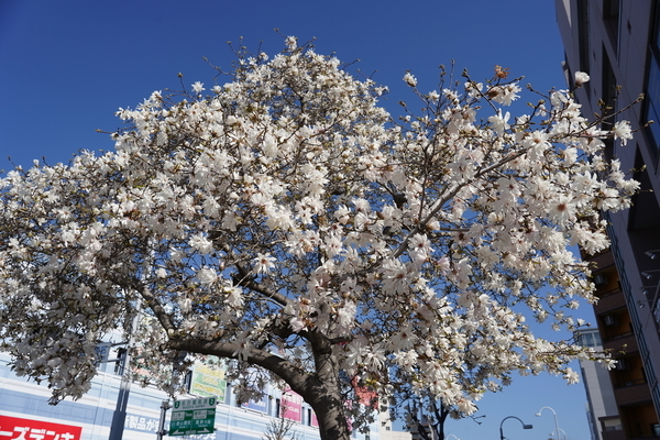 f:id:gzutetsu:20210323083438j:image