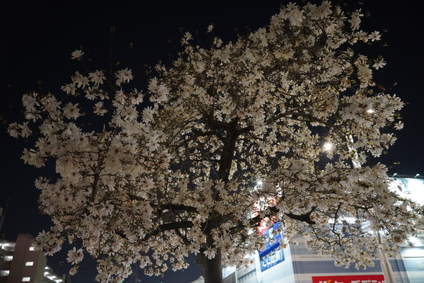 f:id:gzutetsu:20210323190742j:image