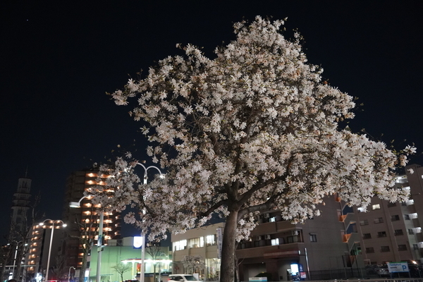 f:id:gzutetsu:20210323190814j:image