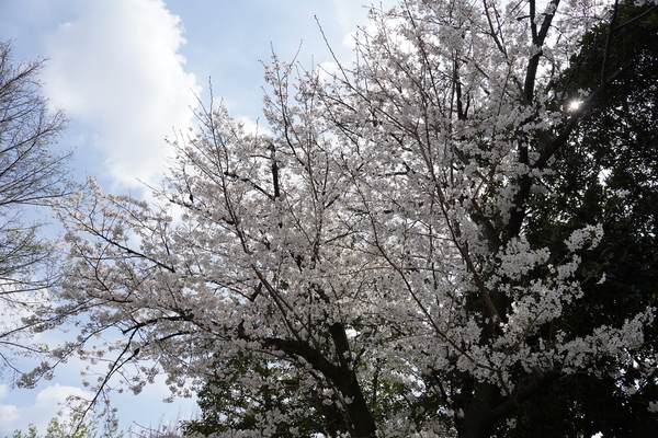 f:id:gzutetsu:20210327134606j:image