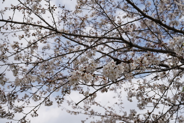 f:id:gzutetsu:20210327135039j:image