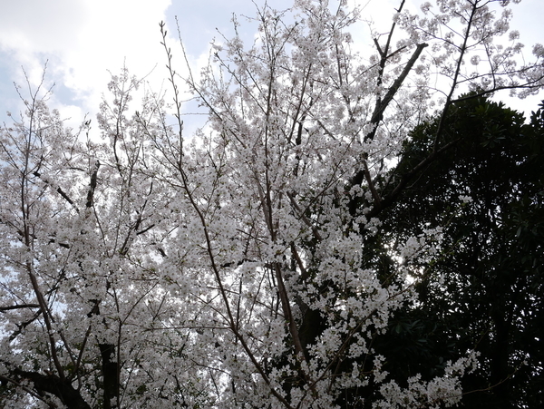 f:id:gzutetsu:20210327135417j:image