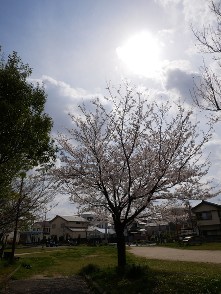f:id:gzutetsu:20210327135831j:image