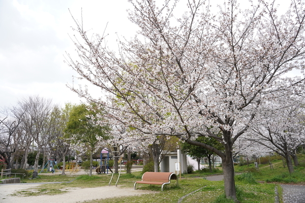 f:id:gzutetsu:20210327141054j:image