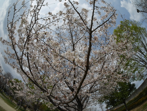 f:id:gzutetsu:20210327142119j:image