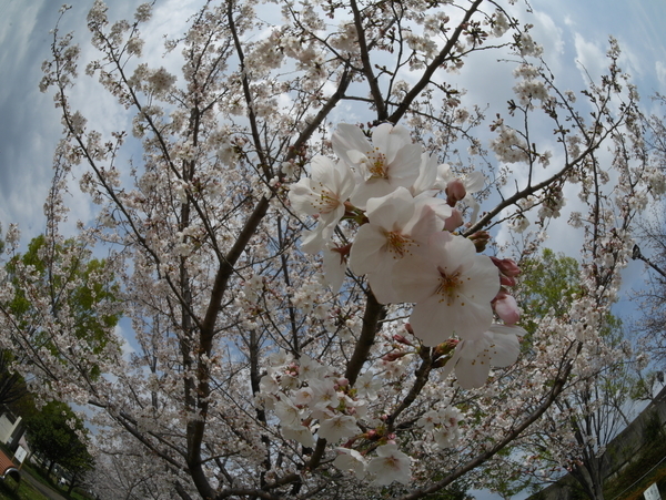 f:id:gzutetsu:20210327142312j:image