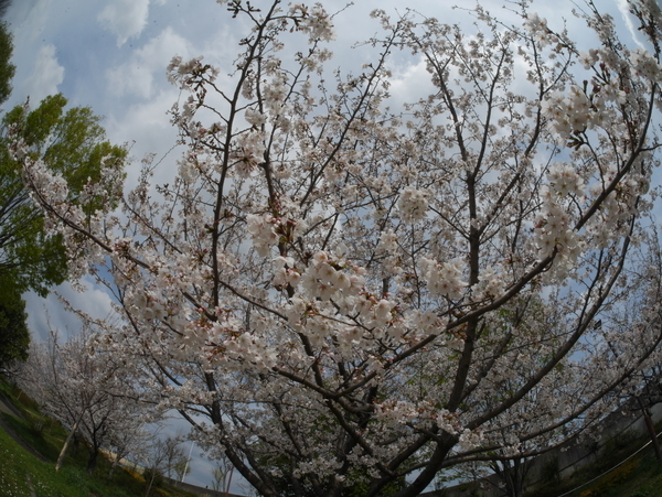 f:id:gzutetsu:20210327143151j:image