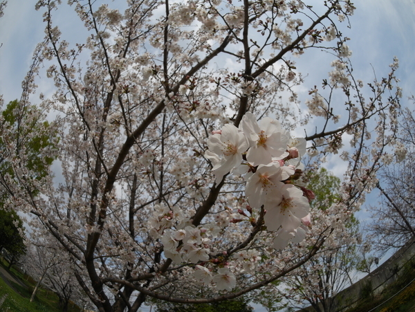f:id:gzutetsu:20210327143600j:image