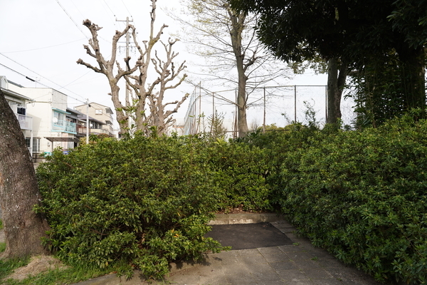f:id:gzutetsu:20210327151842j:image