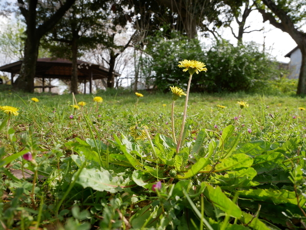 f:id:gzutetsu:20210327152613j:image