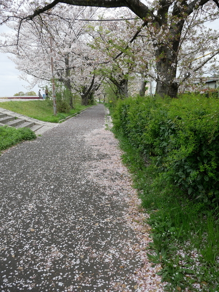 f:id:gzutetsu:20210403123549j:image
