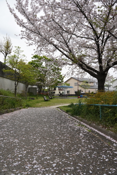 f:id:gzutetsu:20210403133019j:image