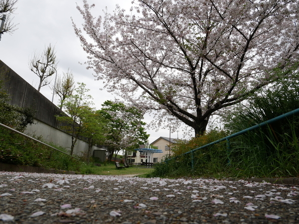 f:id:gzutetsu:20210403133713j:image