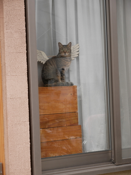 f:id:gzutetsu:20210403140503j:image