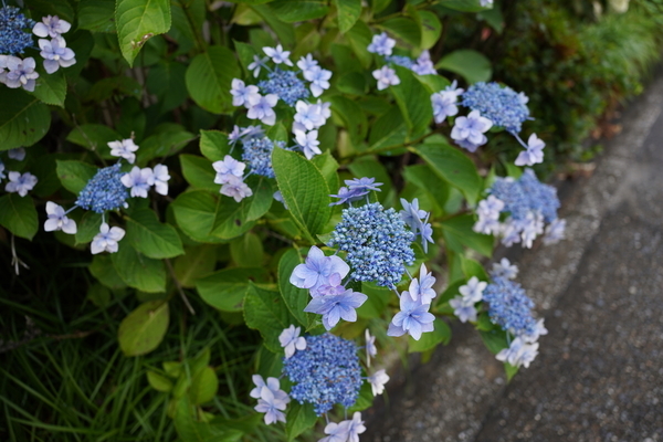 f:id:gzutetsu:20210613150416j:image