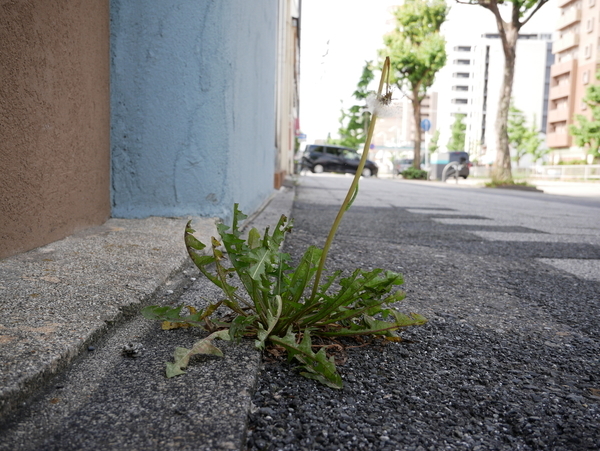 f:id:gzutetsu:20210621084010j:image