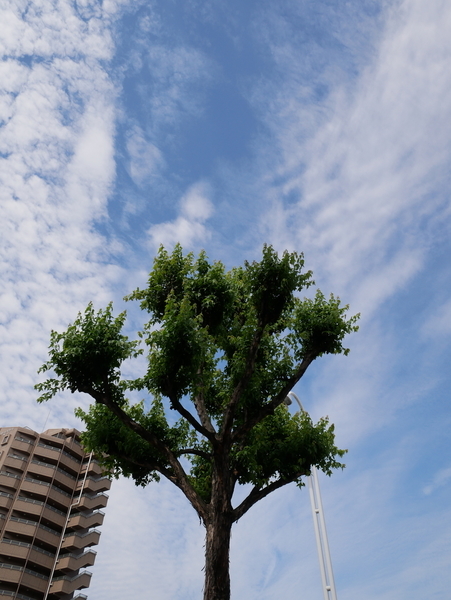 f:id:gzutetsu:20210621084111j:image