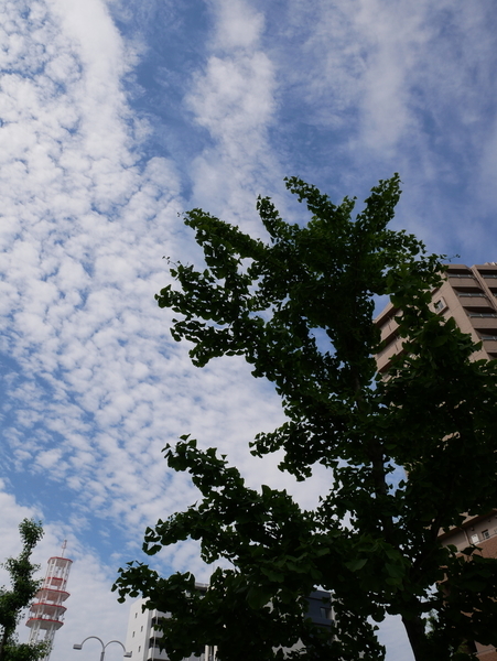 f:id:gzutetsu:20210621084235j:image