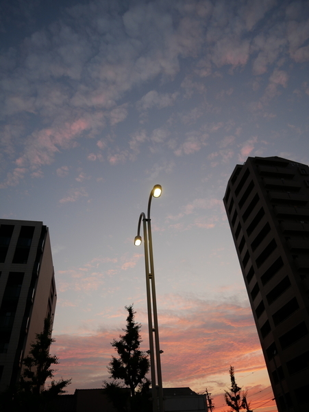 f:id:gzutetsu:20210621192032j:image
