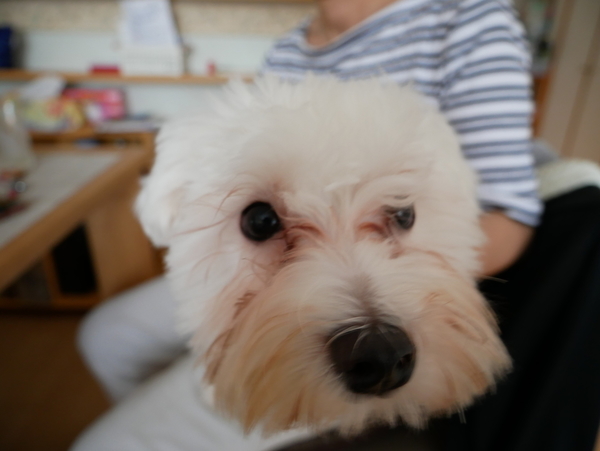 f:id:gzutetsu:20210710161809j:image