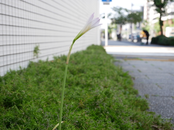 f:id:gzutetsu:20210713084602j:image