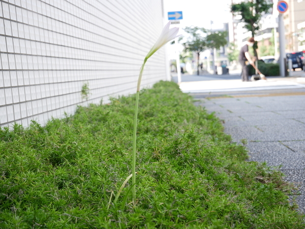 f:id:gzutetsu:20210713084726j:image