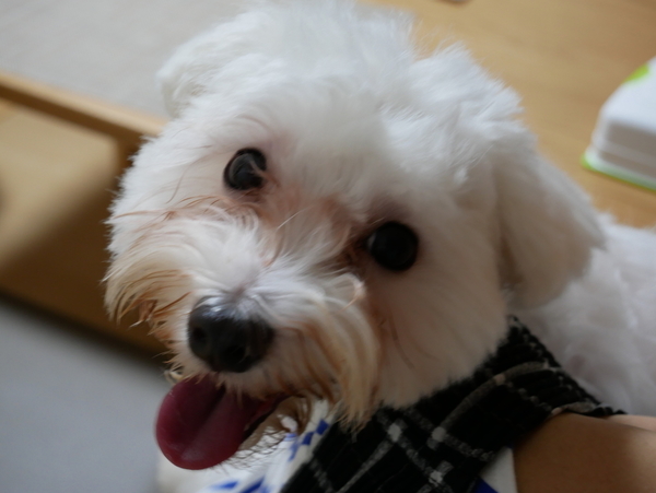 f:id:gzutetsu:20210717204044j:image