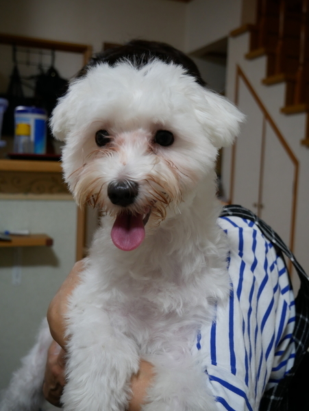 f:id:gzutetsu:20210717204116j:image
