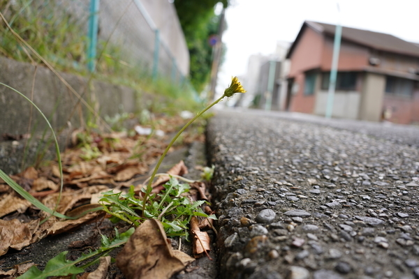 f:id:gzutetsu:20210911134955j:image