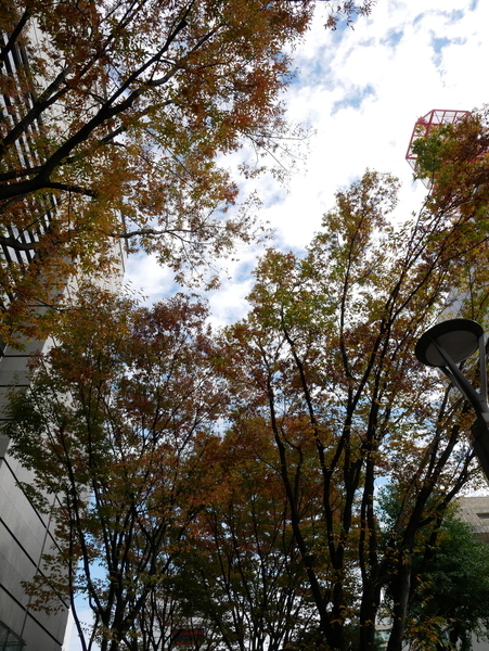 f:id:gzutetsu:20211114113341j:image