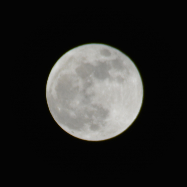 f:id:gzutetsu:20211119204153j:image