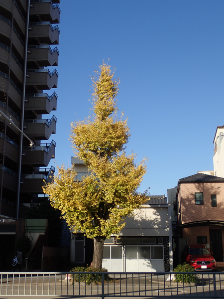 f:id:gzutetsu:20211202083458j:image