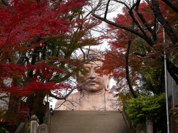 f:id:gzutetsu:20211205111126j:image