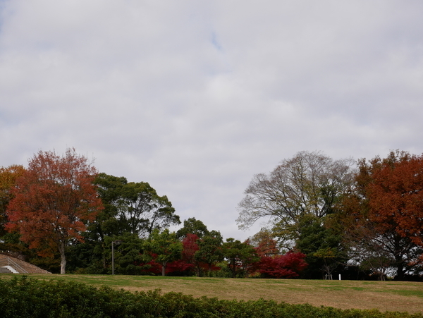 f:id:gzutetsu:20211205112413j:image