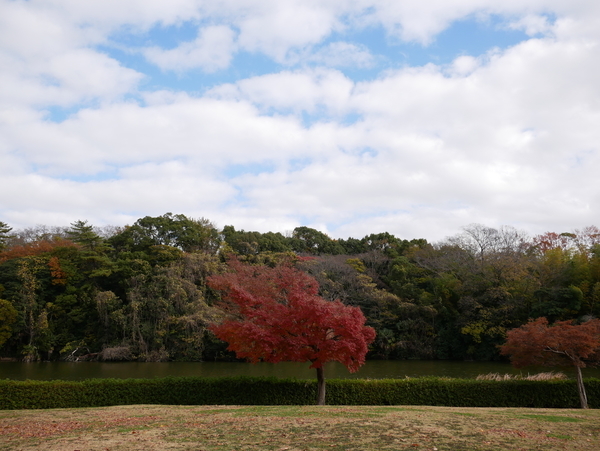 f:id:gzutetsu:20211205112551j:image
