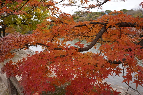 f:id:gzutetsu:20211205120630j:image
