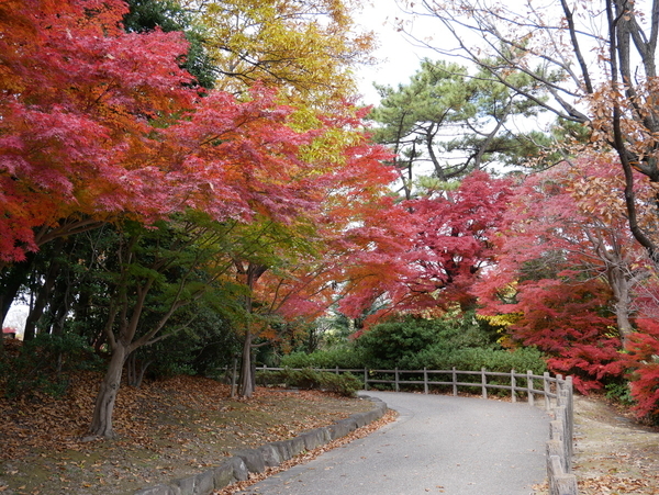 f:id:gzutetsu:20211205122012j:image