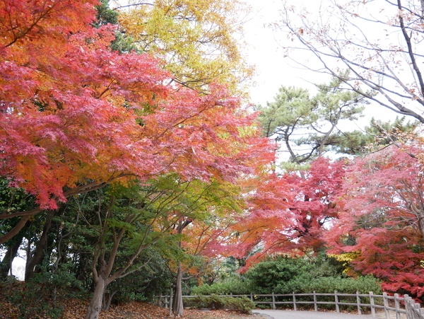 f:id:gzutetsu:20211205122055j:image