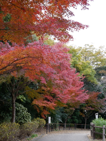 f:id:gzutetsu:20211205122436j:image