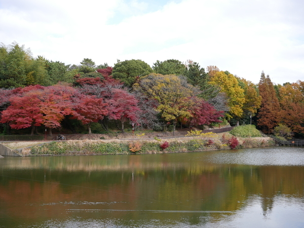 f:id:gzutetsu:20211205122547j:image