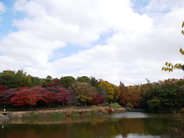 f:id:gzutetsu:20211205122614j:image