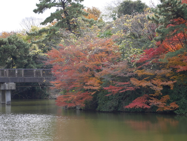 f:id:gzutetsu:20211205123132j:image