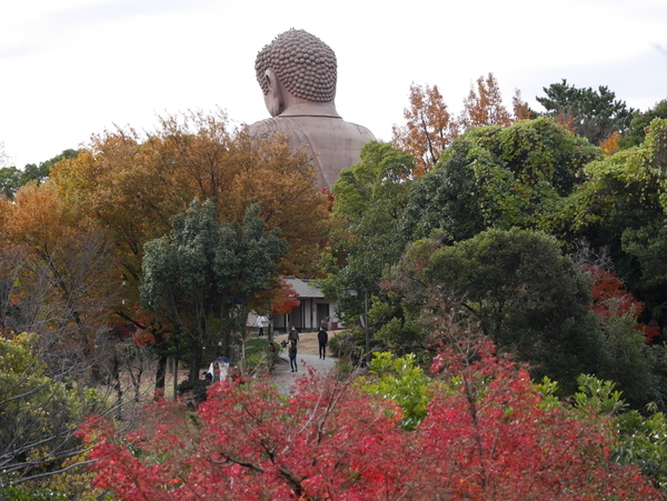f:id:gzutetsu:20211205124039j:image