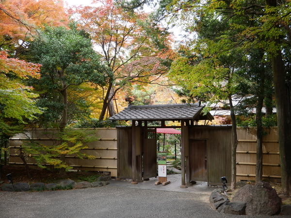 f:id:gzutetsu:20211205130625j:image