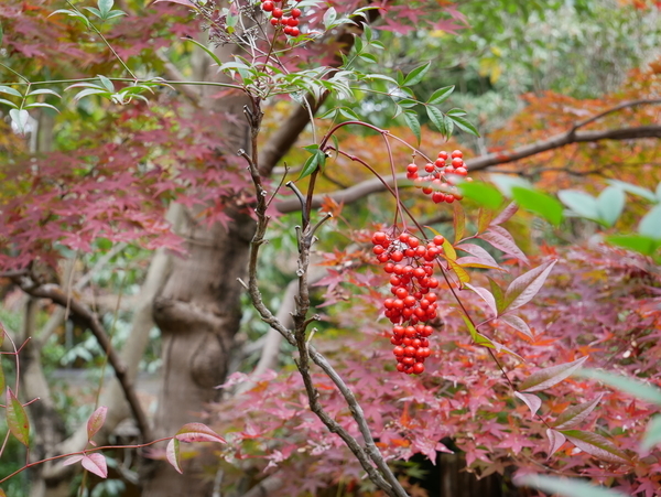 f:id:gzutetsu:20211205131025j:image