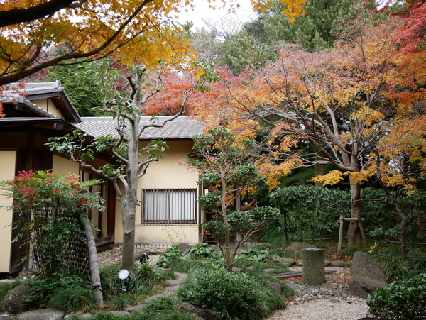 f:id:gzutetsu:20211205131128j:image