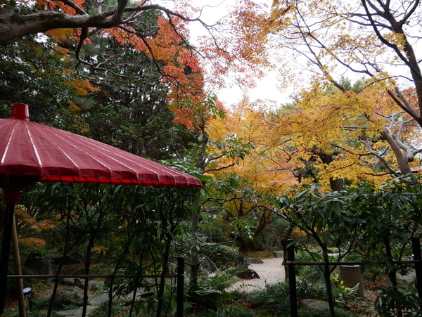 f:id:gzutetsu:20211205131407j:image