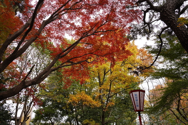 f:id:gzutetsu:20211205131446j:image