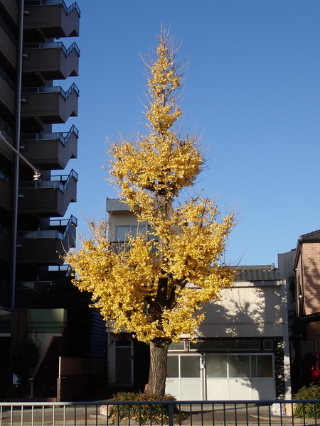 f:id:gzutetsu:20211209083053j:image