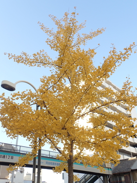 f:id:gzutetsu:20211209083227j:image